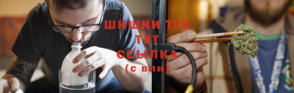 ГАЛЛЮЦИНОГЕННЫЕ ГРИБЫ Алексин