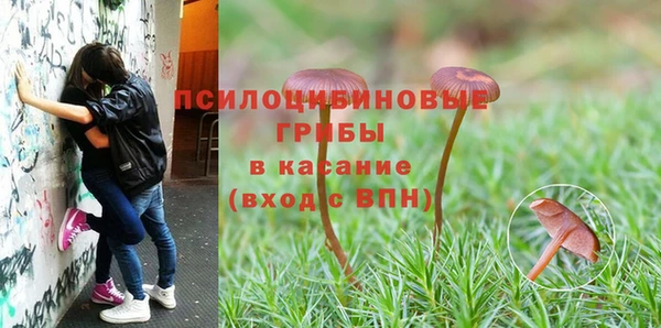 ГАЛЛЮЦИНОГЕННЫЕ ГРИБЫ Алексин