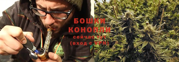 ГАЛЛЮЦИНОГЕННЫЕ ГРИБЫ Алексин