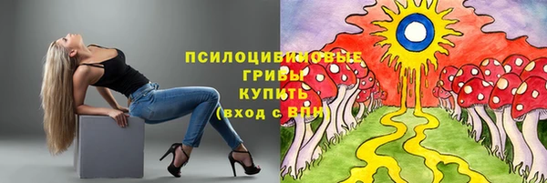 mdpv Алзамай